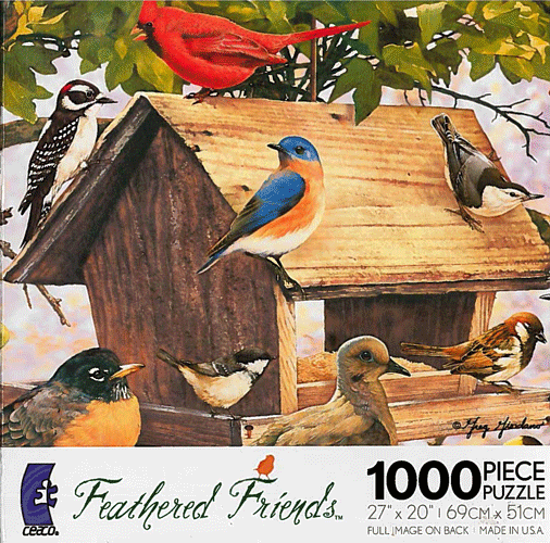 Birds of a Feather (Feathered Friends)