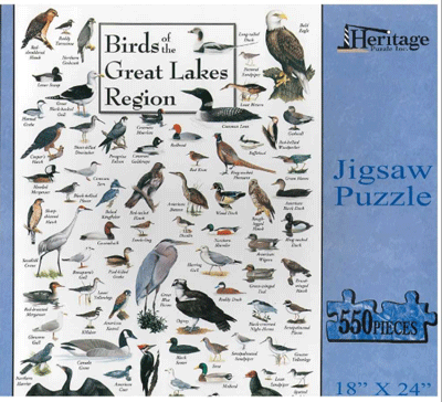 Birds of the Great Lakes Region