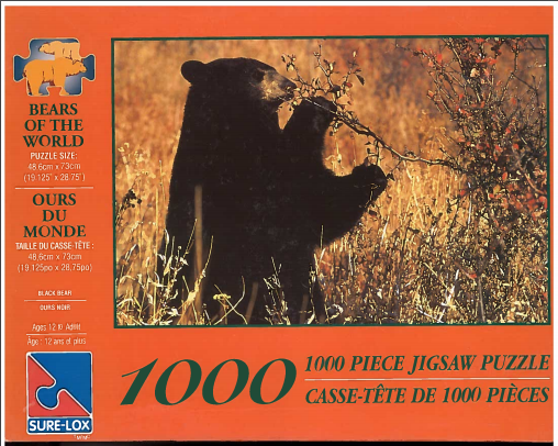 Bears of the World-Black Bear