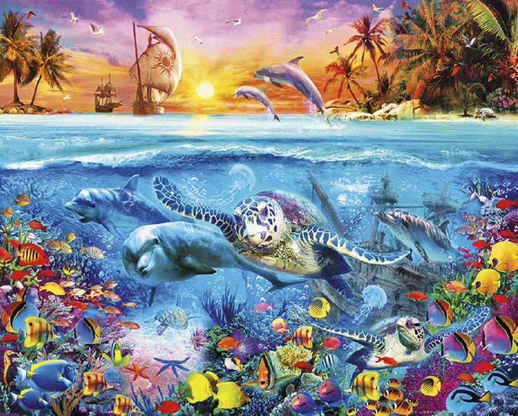 Turtle Reef